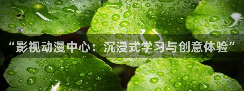 大地影院下载：“影视动漫中心：沉浸式学习与创意体验”