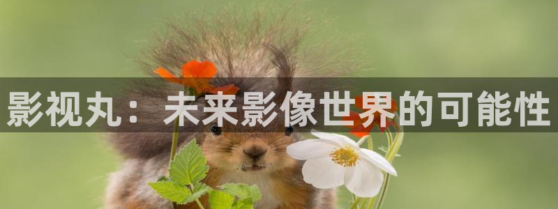 大地影院招聘