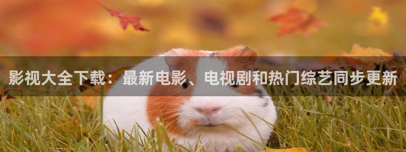 长沙大地影院