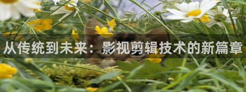 烟台大地影院影讯：从传统到未来：影视剪辑技术的新篇章