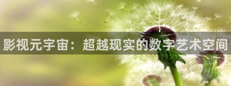 大地资源影院：影视元宇宙：超越现实的数字艺术空间